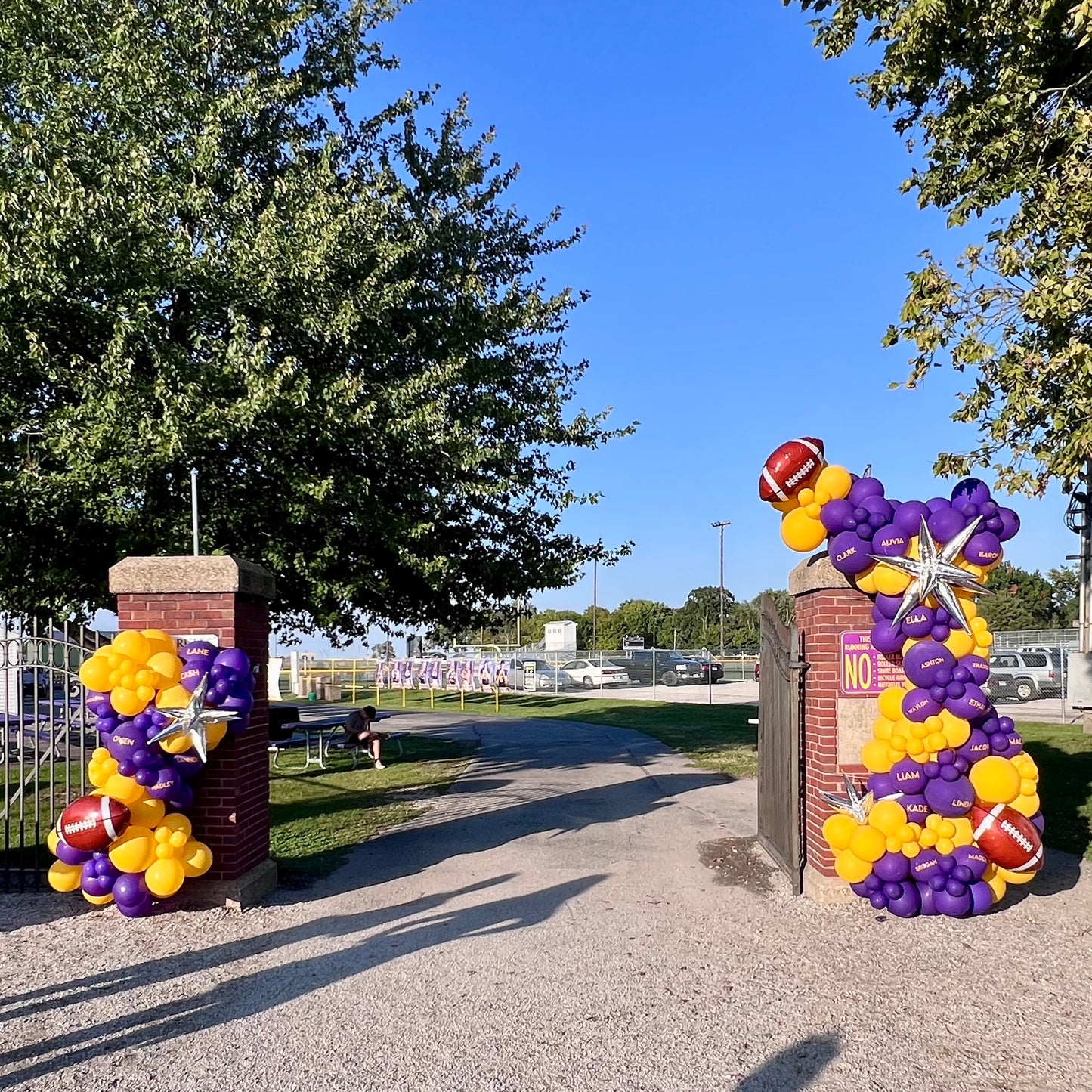 Large Balloon Garland