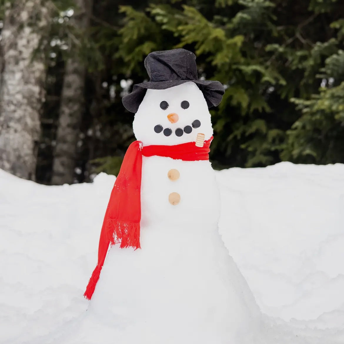 Build Your Own Snowman Kit