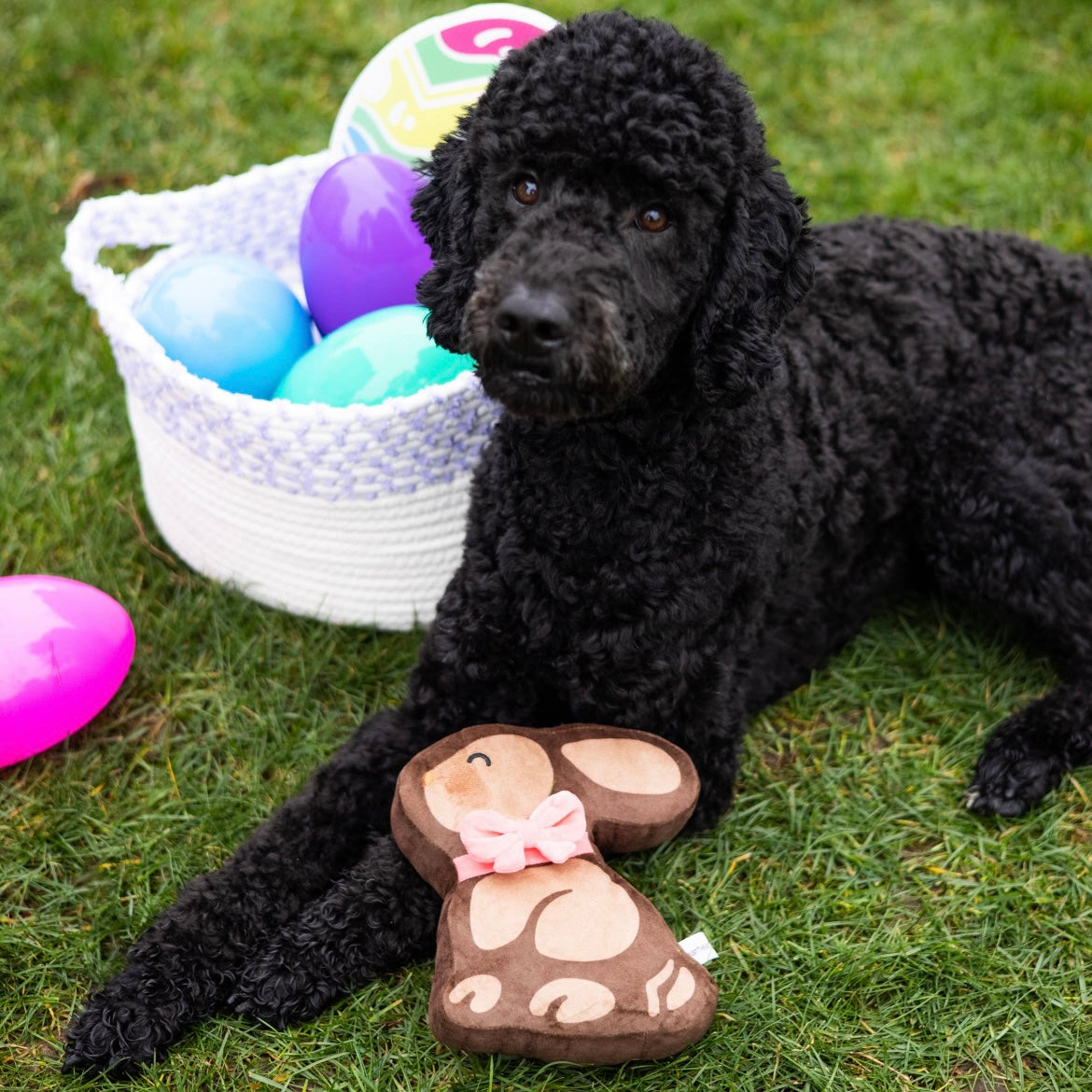 Easter Chocolate Bunny Dog Toy